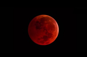 blood-moon-970x0